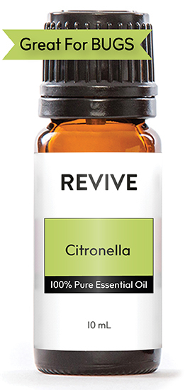 Citronella masks the human fragrance that insects - especially mosquitoes! - love. This is a summer must-have for any outdoor activities! Its lemony citrus aroma mixed with grassy, woody tones smells so much better than traditional bug sprays full of chemicals and is safe for inhalation.
Cymbopogon winterianus





	
		
			
Free Shipping & Returns

		 
	 


	
		
			
GC/SM tested (Quality Tested)


		 
	 


	
		
			
No MLM Hassle