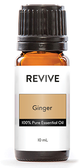 Ginger-02 Ginger-02