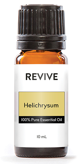 Helichrysum-02