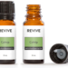 catnip essential oil