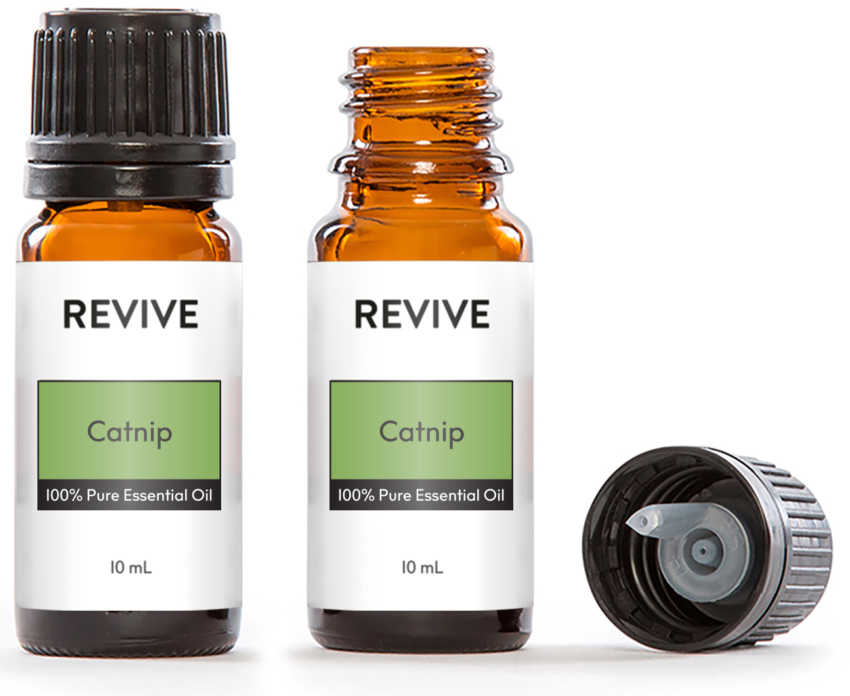 catnip essential oil