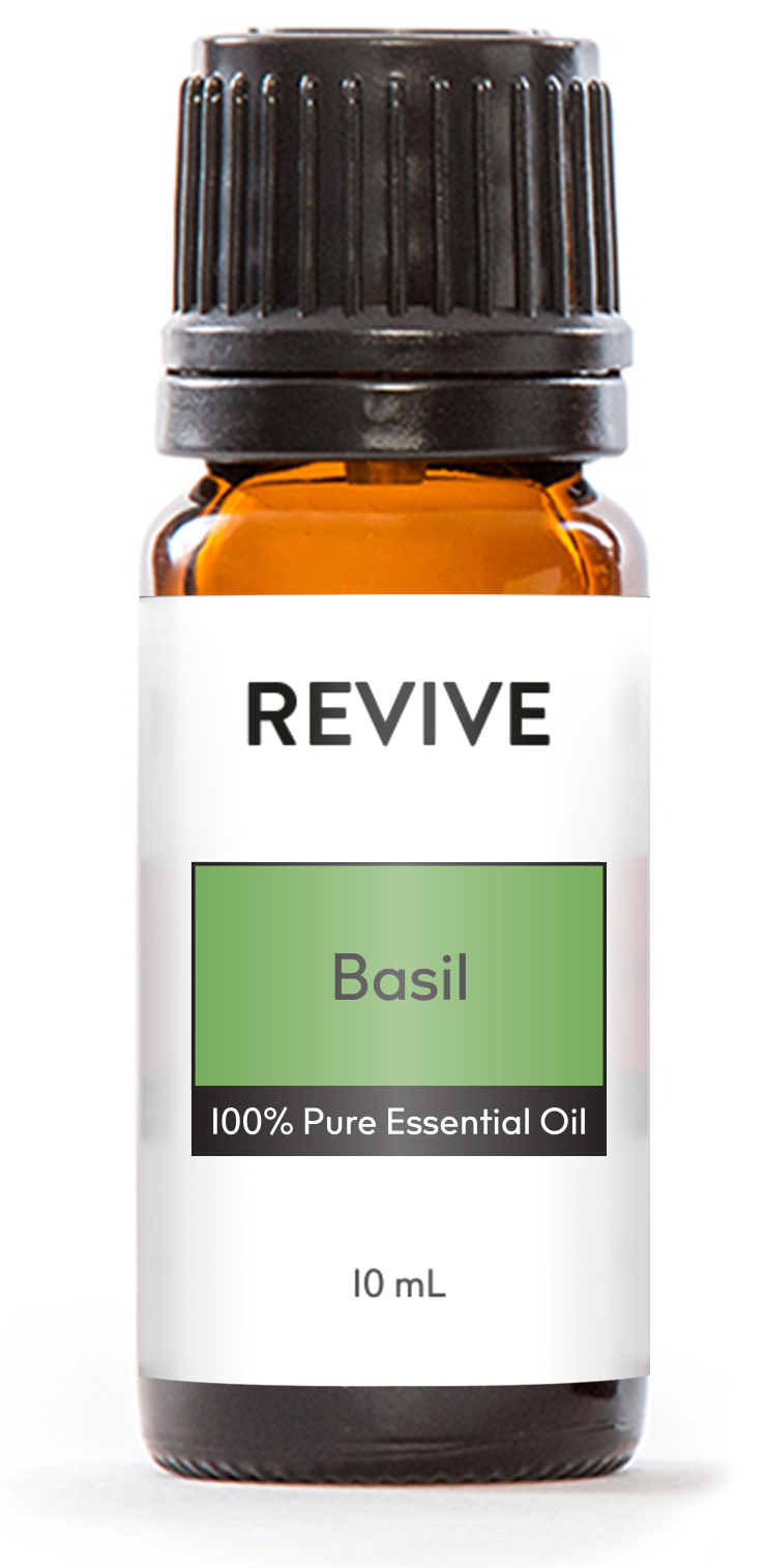 Essential Oil Basil