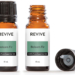 Balsam Fir-01