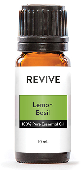 If you want fresh, you’ve got it with this Essential Oil. Lemon Basil is a beautiful citrus and herbal scent that will envelop you in its uplifting aroma. Distilled from the leaves of the Asian herb that is well-known in culinary dishes, this oil is outstanding for its ability to help purify the air and improve your mood. One sniff of this intriguing Essential Oil and you will feel refreshed, focused and balanced.


Ocimum citriodorum

	
		
			
Free Shipping & Returns

		 
	 


	
		
			
GC/SM tested (Certified Pure)


		 
	 


	
		
			
No MLM Hassle