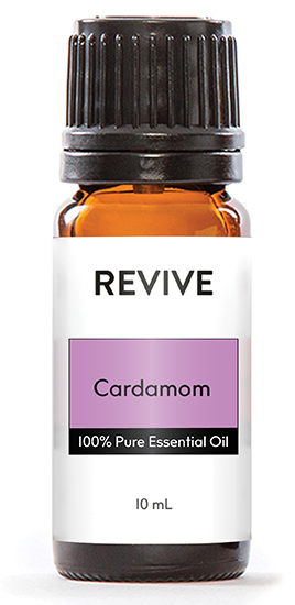 Elettaria cardamomum

	
		
			
Free Shipping & Returns

		 
	 


	
		
			
GC/SM tested (Quality Tested)


		 
	 


	
		
			
No MLM Hassle