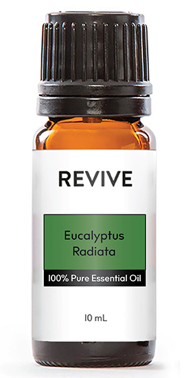 For lovers of the fresh and clean scent of Eucalyptus, you will be super excited to try the new gentler scent of Eucalyptus Radiata. Known to be a “softer” variety, this Australian oil is smooth with a touch of floral and citrus.
First available in the REVIVE Summer Box 2022
Eucalyptus radiata





	
		
			
Free Shipping & Returns

		 
	 


	
		
			
GC/SM tested (Quality Tested)


		 
	 


	
		
			
No MLM Hassle