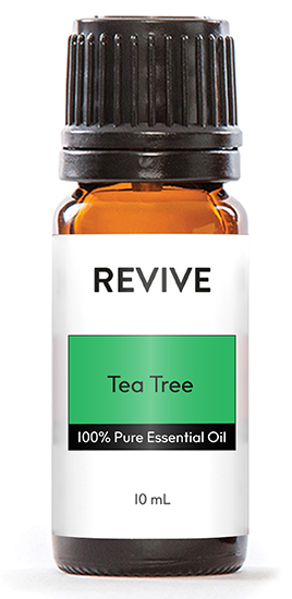 Tea Tree-02