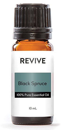 Picea mariana
YL® calls this YL® Northern Lights Black Spruce.  We call it REVIVE Black Spruce.

	
		
			
Free Shipping & Returns

		 
	 


	
		
			
GC/SM tested (Quality Tested)


		 
	 


	
		
			
No MLM Hassle