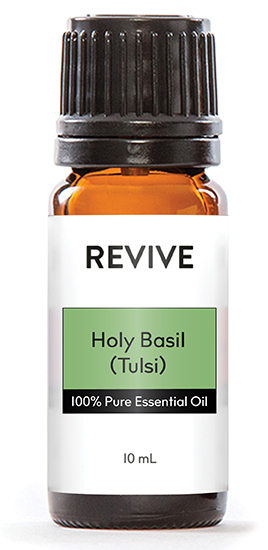 Holy Basil-02