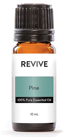 Pine-02
