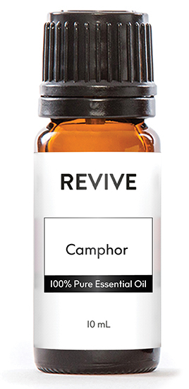 Cinnamomum camphora

	
		
			
Free Shipping & Returns

		 
	 


	
		
			
GC/SM tested (Quality Tested)


		 
	 


	
		
			
No MLM Hassle