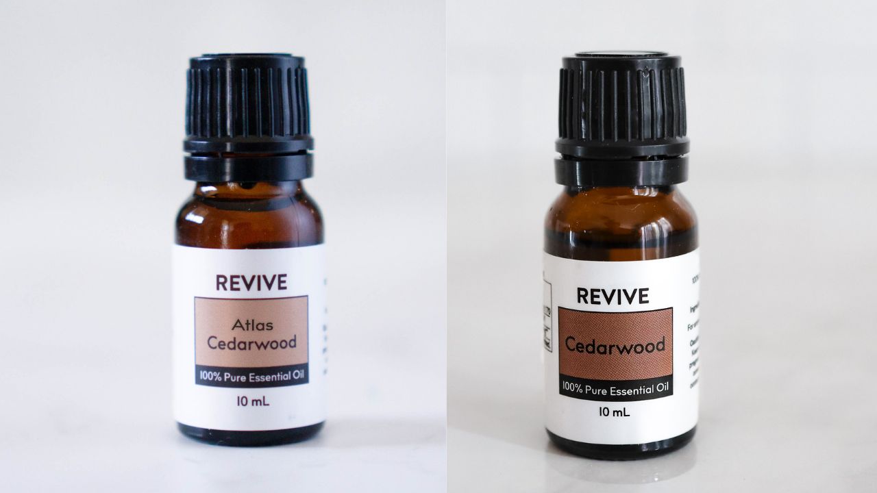 The Different Types Of Cedarwood Essential Oil REVIVE Essential Oils