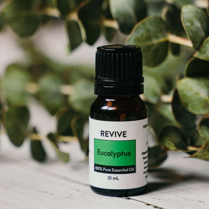 Eucalyptus Essential Oil Blend