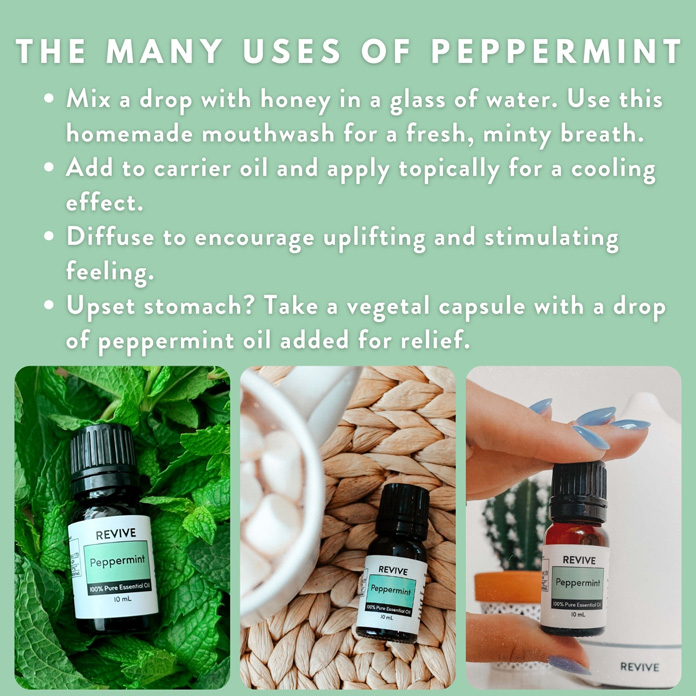 Peppermint Carousel-AMZ – Peppermint-Ways to Use