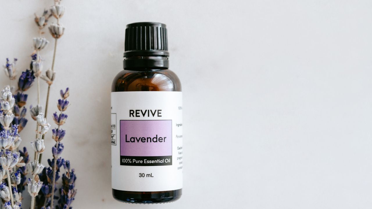 Lavender (Thumbnail) Lavender (Thumbnail)