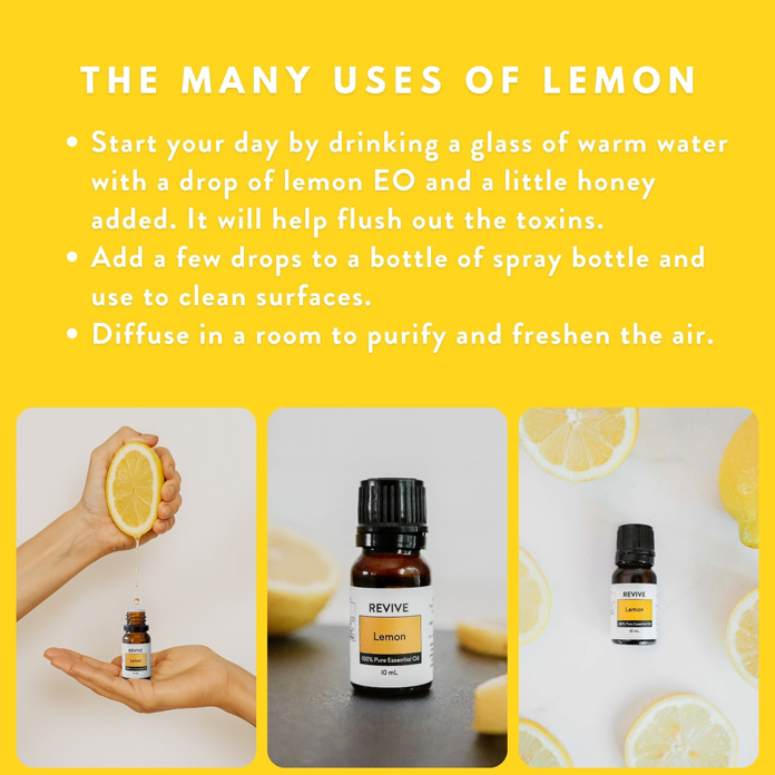 Lemon Carousel-AMZ – Lemon-Ways to Use