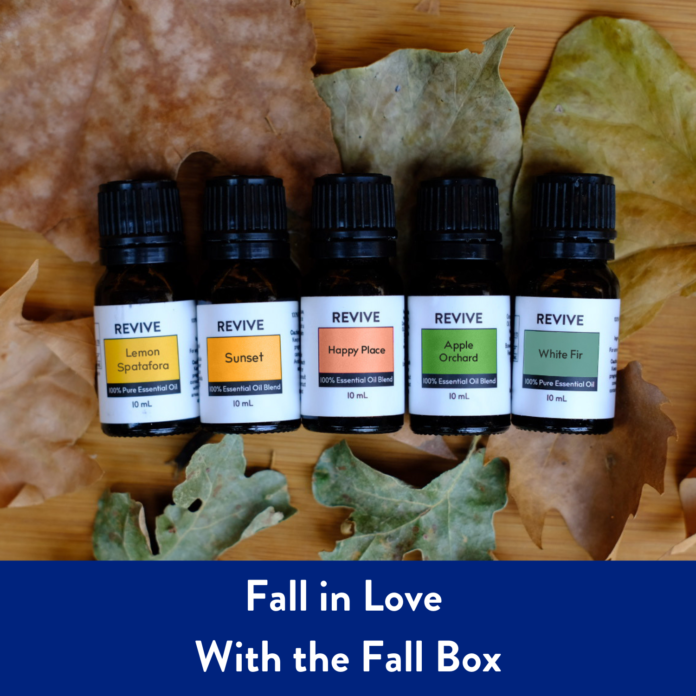 Fall in Love With the Fall Box