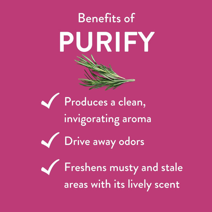 Purify Carousel-AMZ – Purify-Benefits