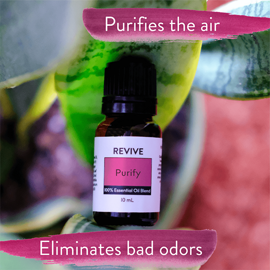 Purify Essential Oil