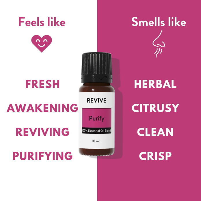 Purify Carousel-AMZ – Purify-Feels Like, Smells Like