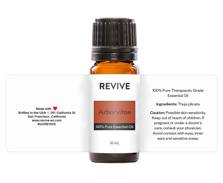 arborvitae_3