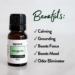Margarita Essential Oil Blend Uses