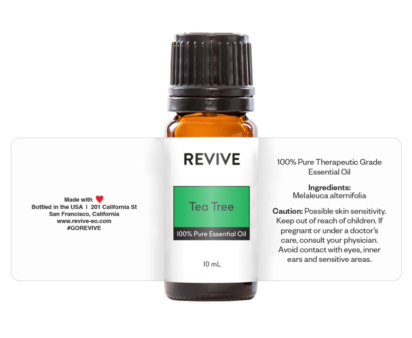 tea tree_variation 2