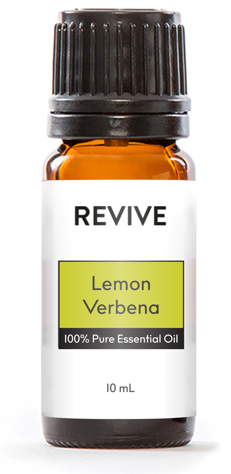 lemon verbena_1