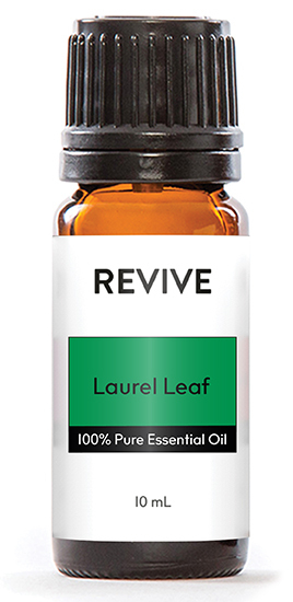 Laurus nobilis

	
		
			
Free Shipping & Returns

		 
	 


	
		
			
GC/SM tested (Quality Tested)


		 
	 


	
		
			
No MLM Hassle