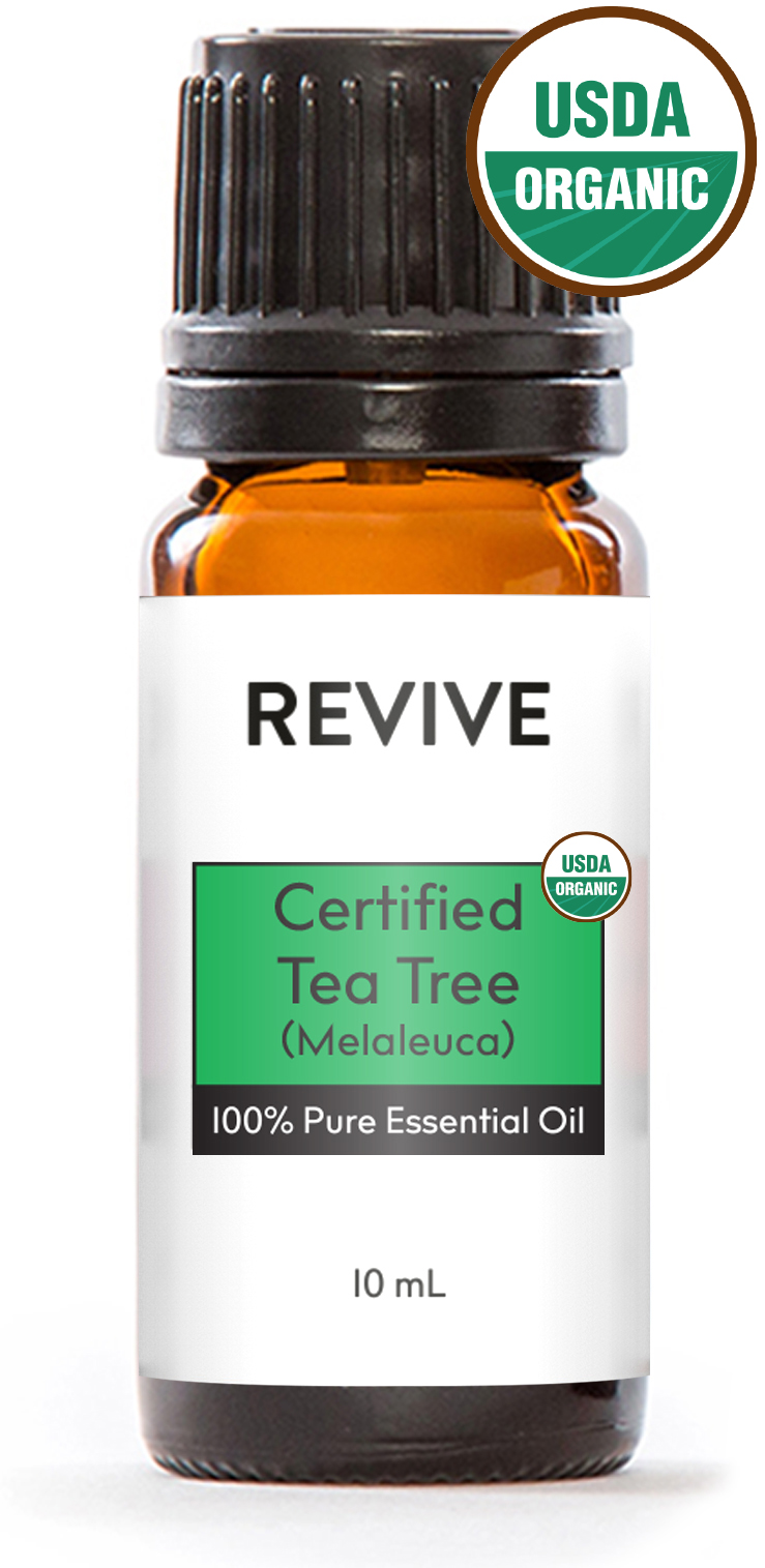 certified tea tree 1