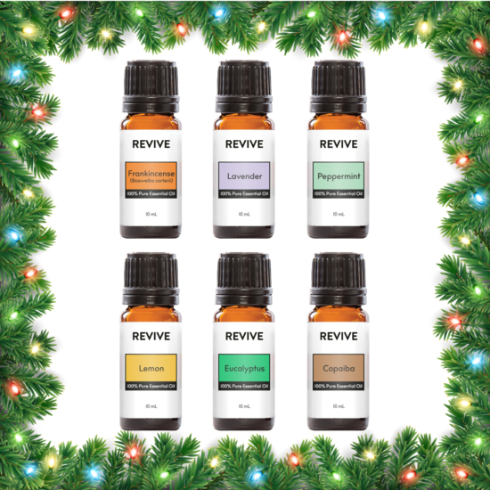 This is a kit of our 6 Best Selling Essential Oils: Frankincense Carterii, Lavender, Peppermint, Lemon, Eucalyptus, Copaiba







A $54 Value for $47.




	
		
			



Free Shipping & Free Returns

		 
	 


	
		
			
GC/SM Tested (Quality Tested)


		 
	 


	
		
			
No MLM Hassle