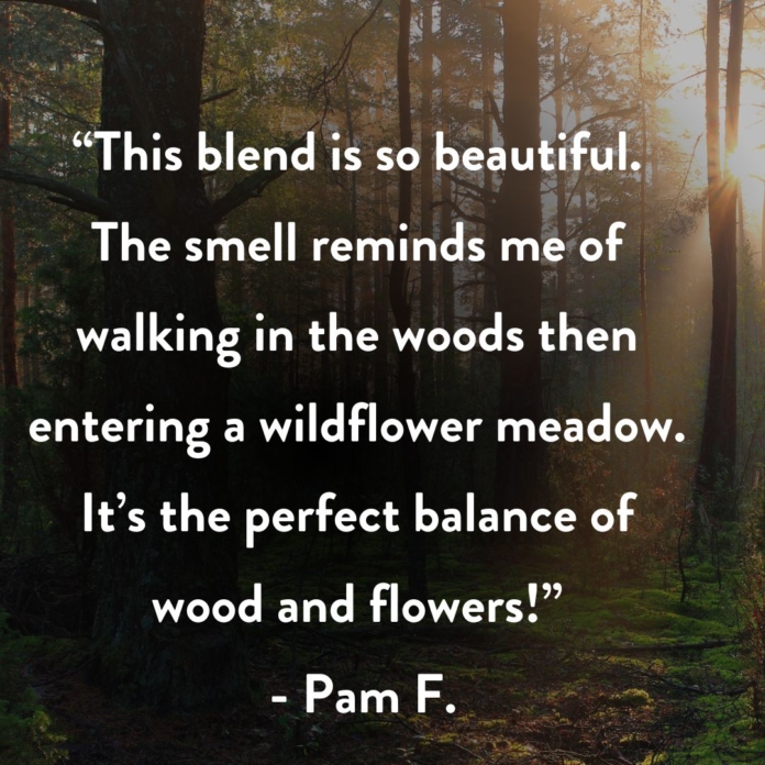 into the woods customer review