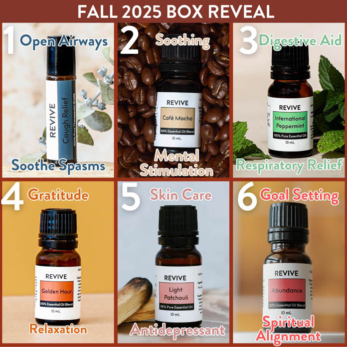 2025 Fall Box Reveal (696×696)