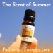Summer of Love Benefits