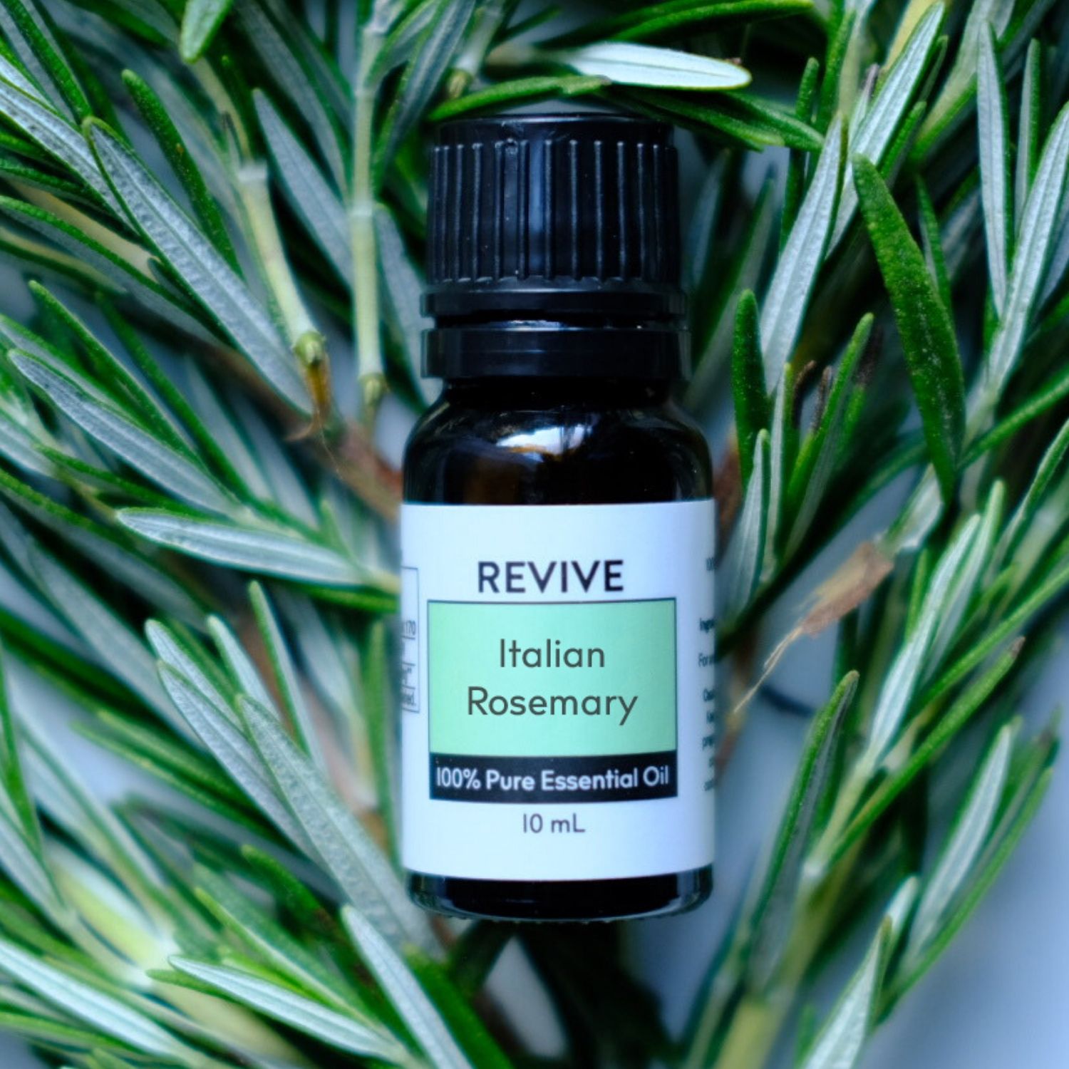 Rosemary (italian) REVIVE Essential Oils