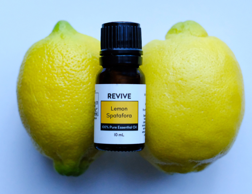 lemon spatafora (cropped)