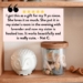 Diffuser safe for kids