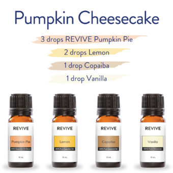 pumpkin-cheesecake-instagram pumpkin-cheesecake-instagram
