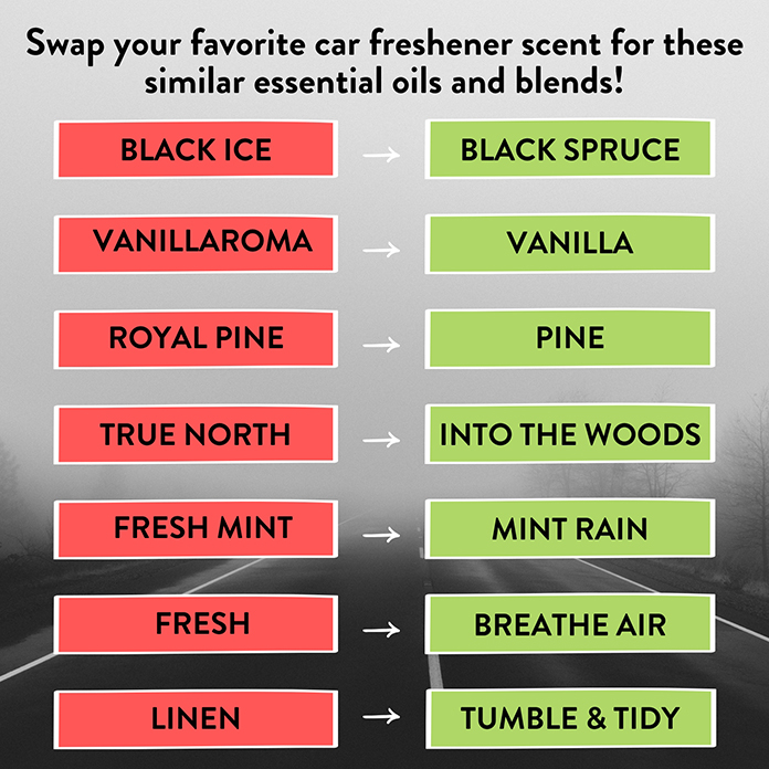 Branch Car-Scent Swaps-696×696