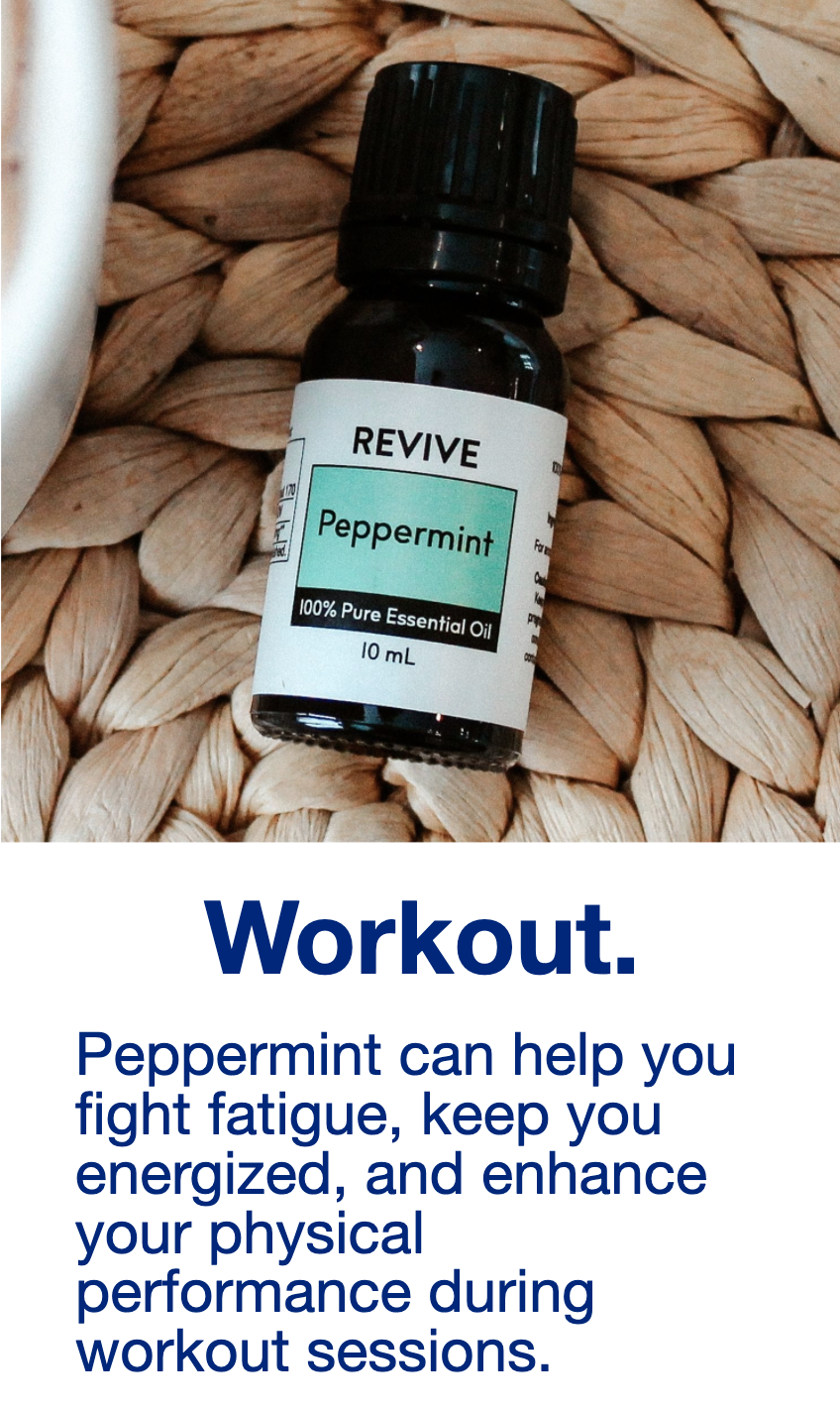 Screen Shot 2020-12-30 at 3.08.38 PM