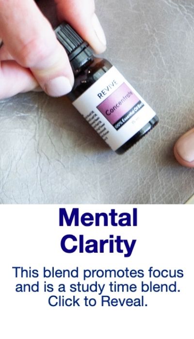 Untitled design (16)