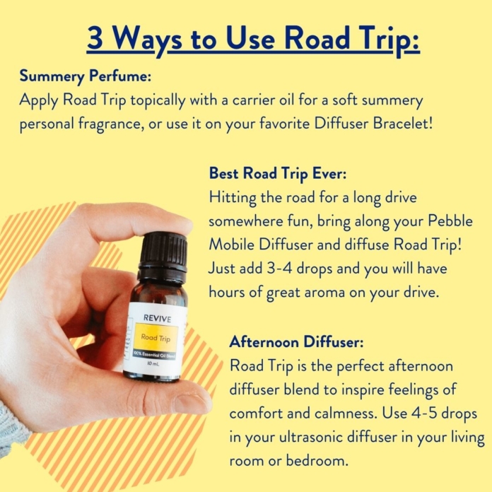 Road Trip How to Use