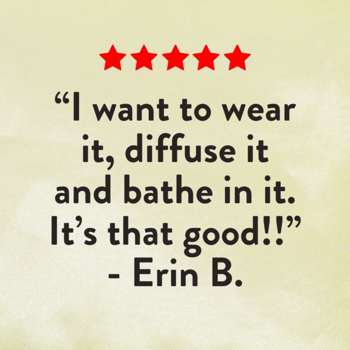 Road Trip Review