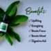 mojito essential oil blend
