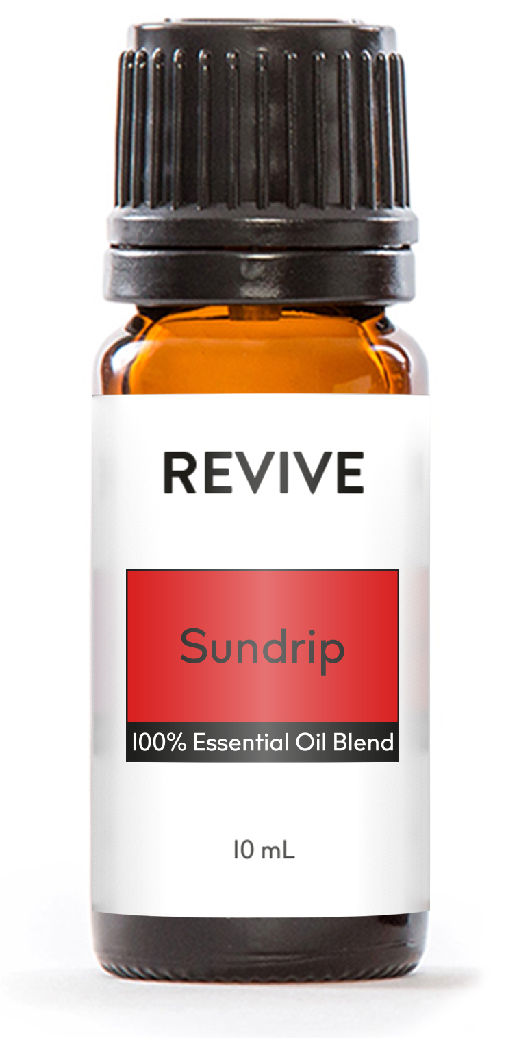 sundrip 1