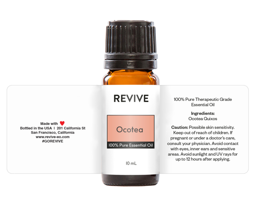 ocotea 3