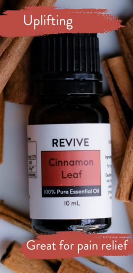 'Tis the season for all things spicy! Chai spiced latte's, pumpkin pies, and now we are debuting our first ever Cinnamon Leaf Oil! It has a scent similar to Cinnamon Bark Oil but the spiciness can also seem more clove-like. It is a great addition to your Essential Oil collection right before the holidays.
REVIVE Cinnamon Leaf is also available in the REVIVE Fall Box.
Cinnamomum zeylanicum





	
		
			
Free Shipping & Returns

		 
	 


	
		
			
GC/SM tested (Quality Tested)


		 
	 


	
		
			
No MLM Hassle
