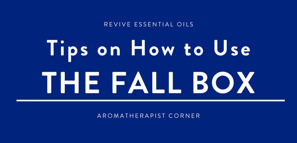 Tips on How to Use the Fall Box - HEADER