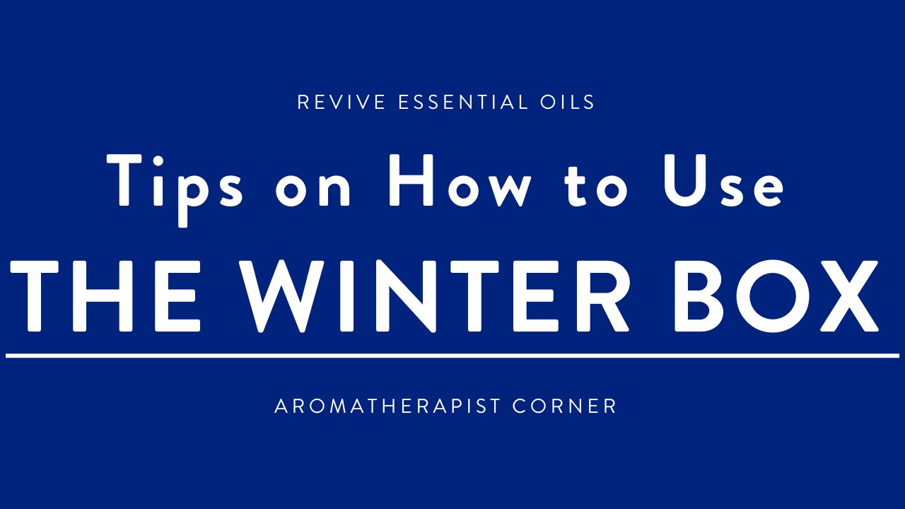 Tips on How to Use the Winter Box - HEADER