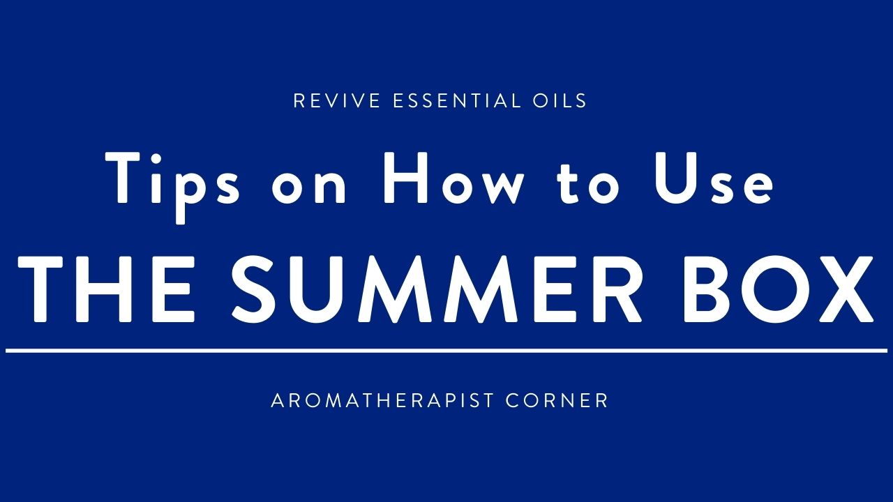 Tips on How to Use the Summer Box - HEADER